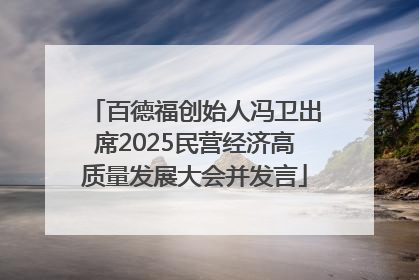 百德福创始人冯卫出席2025民营经济高质量发展大会并发言