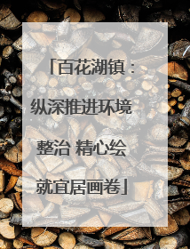 百花湖镇：纵深推进环境整治 精心绘就宜居画卷