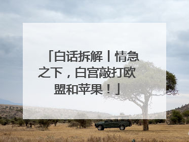 白话拆解丨情急之下，白宫敲打欧盟和苹果！