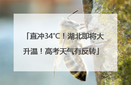 直冲34℃！湖北即将大升温！高考天气有反转