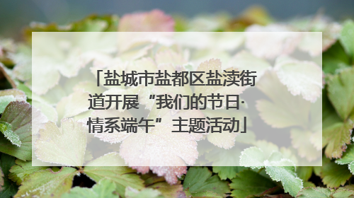 盐城市盐都区盐渎街道开展“我们的节日·情系端午”主题活动