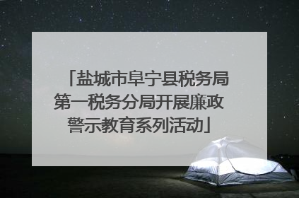 盐城市阜宁县税务局第一税务分局开展廉政警示教育系列活动