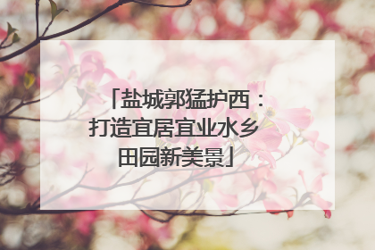 盐城郭猛护西：打造宜居宜业水乡田园新美景