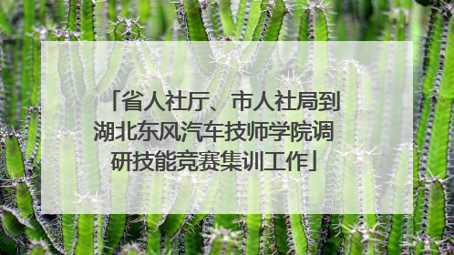 省人社厅、市人社局到湖北东风汽车技师学院调研技能竞赛集训工作