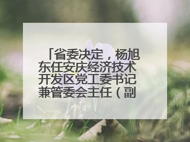 省委决定，杨旭东任安庆经济技术开发区党工委书记兼管委会主任（副厅级）