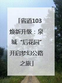 省道103焕新升级：泉城“后花园”开启梦幻公路之旅