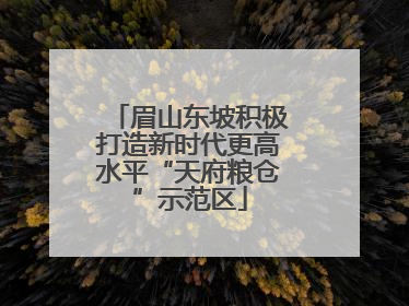 眉山东坡积极打造新时代更高水平“天府粮仓”示范区