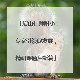 眉山仁师附小：专家引领促发展，精研课题启新篇