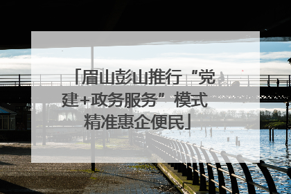 眉山彭山推行“党建+政务服务”模式 精准惠企便民