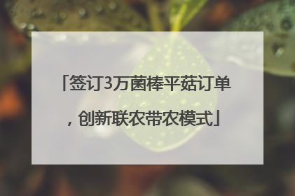 签订3万菌棒平菇订单，创新联农带农模式