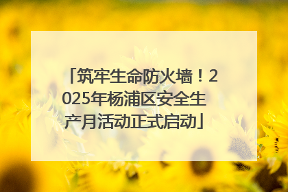 筑牢生命防火墙！2025年杨浦区安全生产月活动正式启动