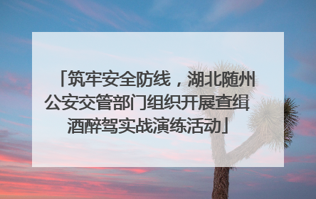 筑牢安全防线，湖北随州公安交管部门组织开展查缉酒醉驾实战演练活动