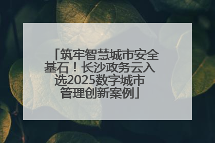 筑牢智慧城市安全基石！长沙政务云入选2025数字城市管理创新案例