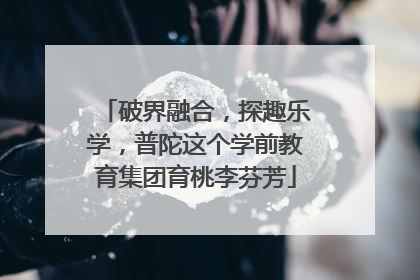 破界融合，探趣乐学，普陀这个学前教育集团育桃李芬芳
