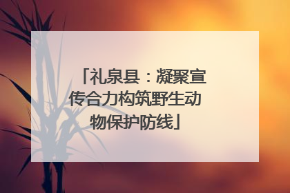 礼泉县：凝聚宣传合力构筑野生动物保护防线