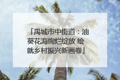 禹城市中街道：油葵花海绚烂绽放 绘就乡村振兴新画卷