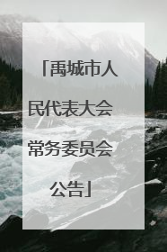 禹城市人民代表大会常务委员会公告