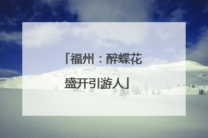 福州：醉蝶花盛开引游人