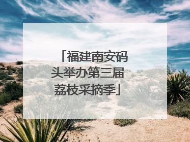 福建南安码头举办第三届荔枝采摘季