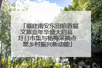 福建南安东田镇首届文旅嘉年华盛大启幕 圩日市集与杨梅采摘点燃乡村振兴新动能