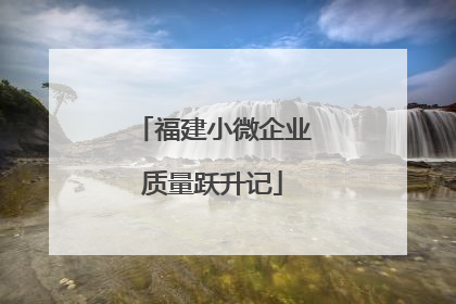 福建小微企业质量跃升记