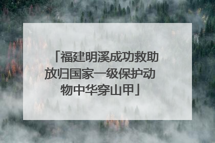 福建明溪成功救助放归国家一级保护动物中华穿山甲