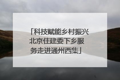 科技赋能乡村振兴 北京住建委下乡服务走进通州西集