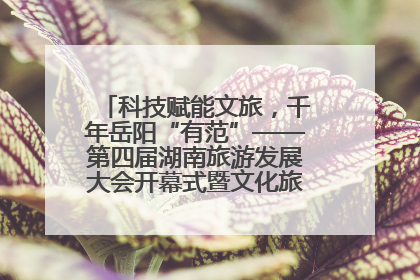 科技赋能文旅，千年岳阳“有范”——第四届湖南旅游发展大会开幕式暨文化旅游推介会侧记