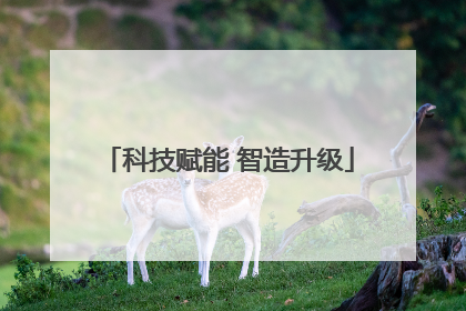 科技赋能 智造升级