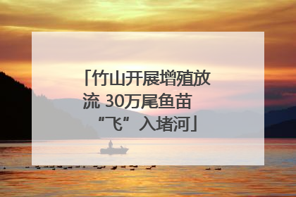 竹山开展增殖放流 30万尾鱼苗“飞”入堵河