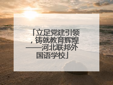 立足党建引领，铸就教育辉煌——河北联邦外国语学校