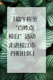 端午将至 “百姓点检日”活动走进枝江市丹阳社区