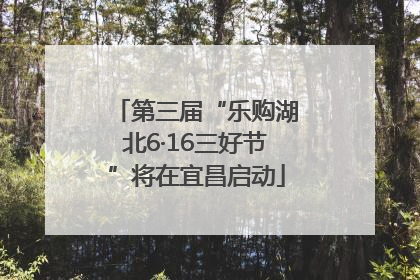 第三届“乐购湖北6·16三好节”将在宜昌启动