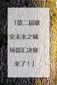 第二届雄安未来之城场景汇决赛来了！