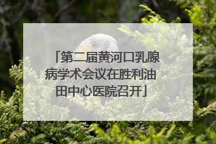第二届黄河口乳腺病学术会议在胜利油田中心医院召开