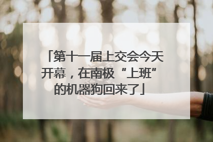 第十一届上交会今天开幕，在南极“上班”的机器狗回来了