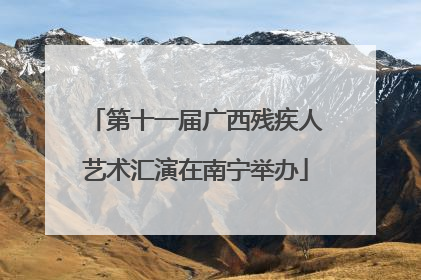 第十一届广西残疾人艺术汇演在南宁举办