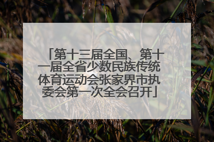 第十三届全国、第十一届全省少数民族传统体育运动会张家界市执委会第一次全会召开