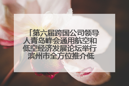 第六届跨国公司领导人青岛峰会通用航空和低空经济发展论坛举行 滨州市全方位推介低空经济发展优势