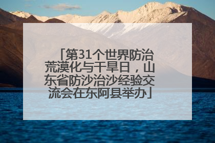 第31个世界防治荒漠化与干旱日，山东省防沙治沙经验交流会在东阿县举办