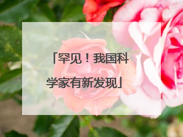 罕见！我国科学家有新发现