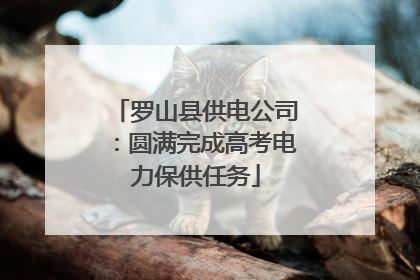罗山县供电公司：圆满完成高考电力保供任务