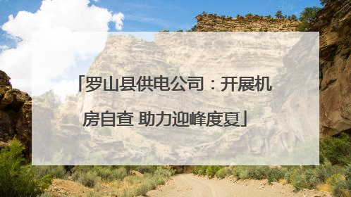 罗山县供电公司：开展机房自查 助力迎峰度夏