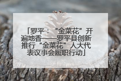 罗平：“金菜花”开遍地香——罗平县创新推行“金菜花”人大代表议事会履职行动