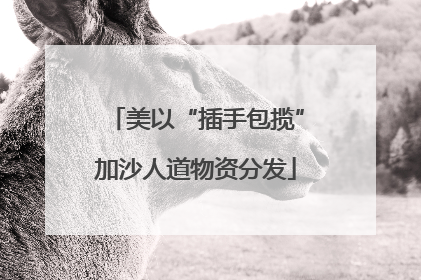 美以“插手包揽”加沙人道物资分发