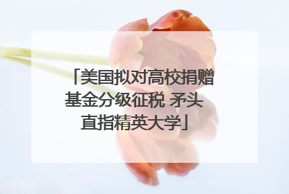 美国拟对高校捐赠基金分级征税 矛头直指精英大学