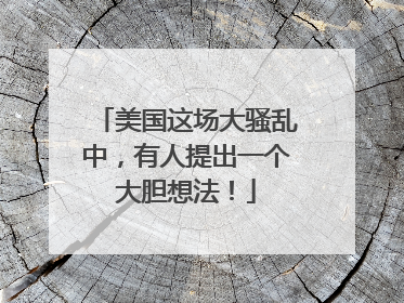 美国这场大骚乱中，有人提出一个大胆想法！