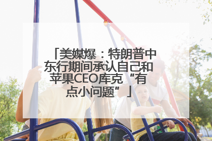美媒爆：特朗普中东行期间承认自己和苹果CEO库克“有点小问题”