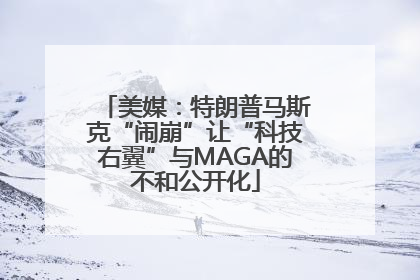 美媒：特朗普马斯克“闹崩”让“科技右翼”与MAGA的不和公开化