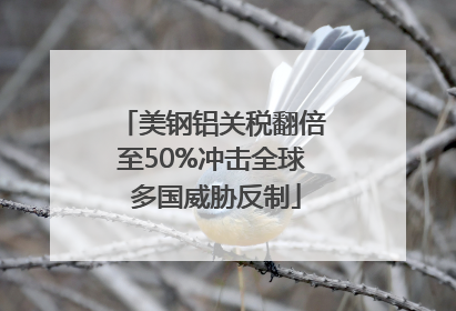 美钢铝关税翻倍至50%冲击全球 多国威胁反制
